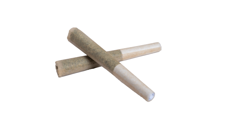 Mota 2 Pack Cones Display