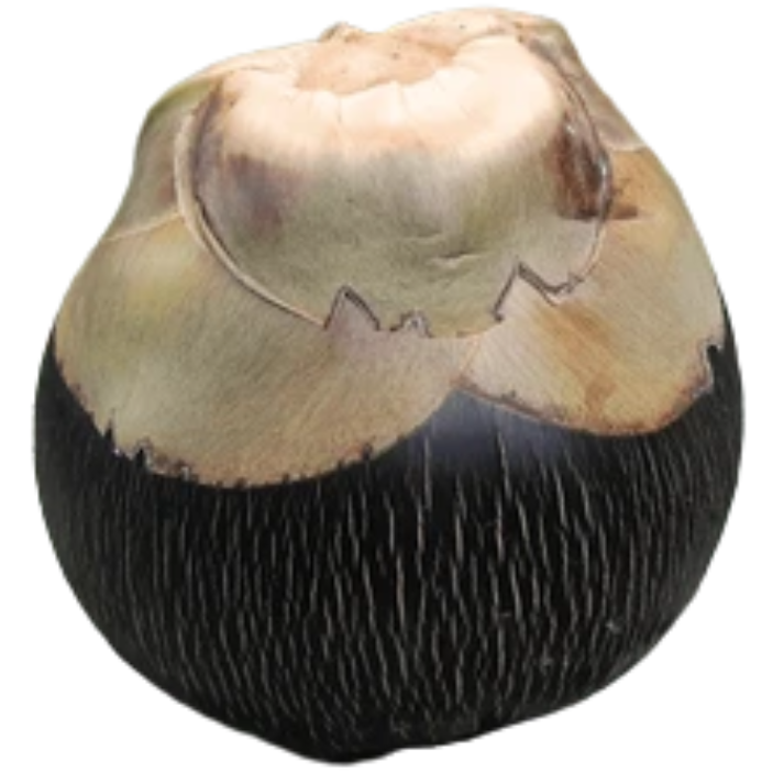 Sweet Palm by Nature's Secret