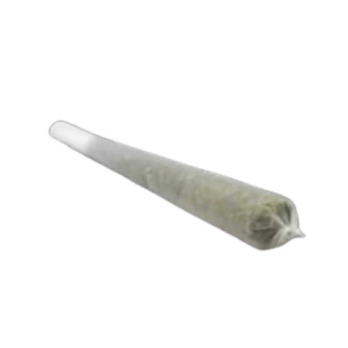 Mota Bulk Cones